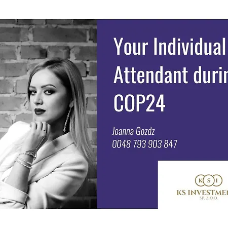 Cop24 Business Grazynskiego * Katowice